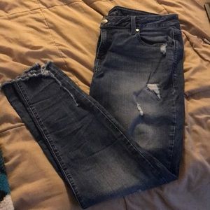 Lane Bryant distressed skinny jeans
